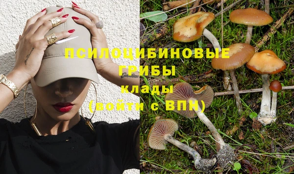 spice Алексин