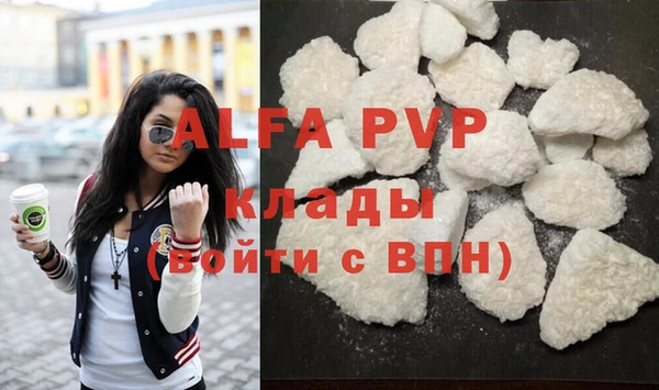 стафф Алзамай
