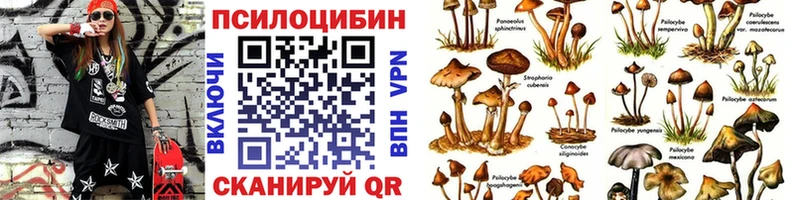 Галлюциногенные грибы мицелий  Купить  Добрянка 